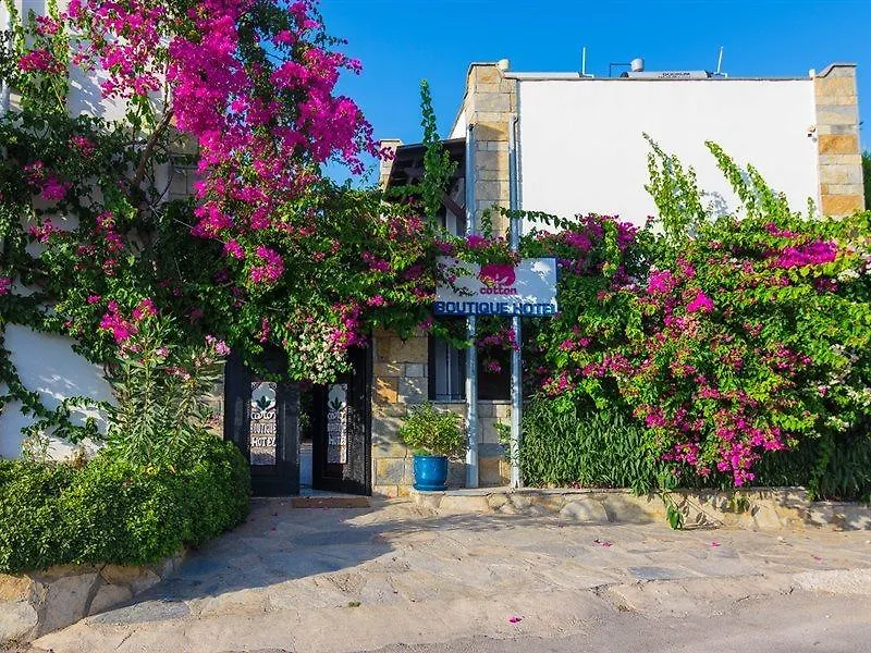 Cotton Boutique Hotel 바이즈