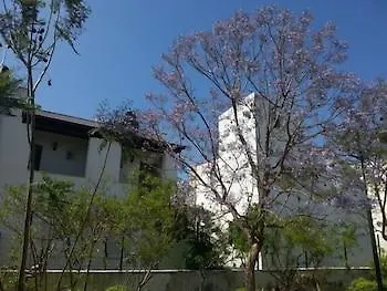 Cotton Boutique Hotel 바이즈
