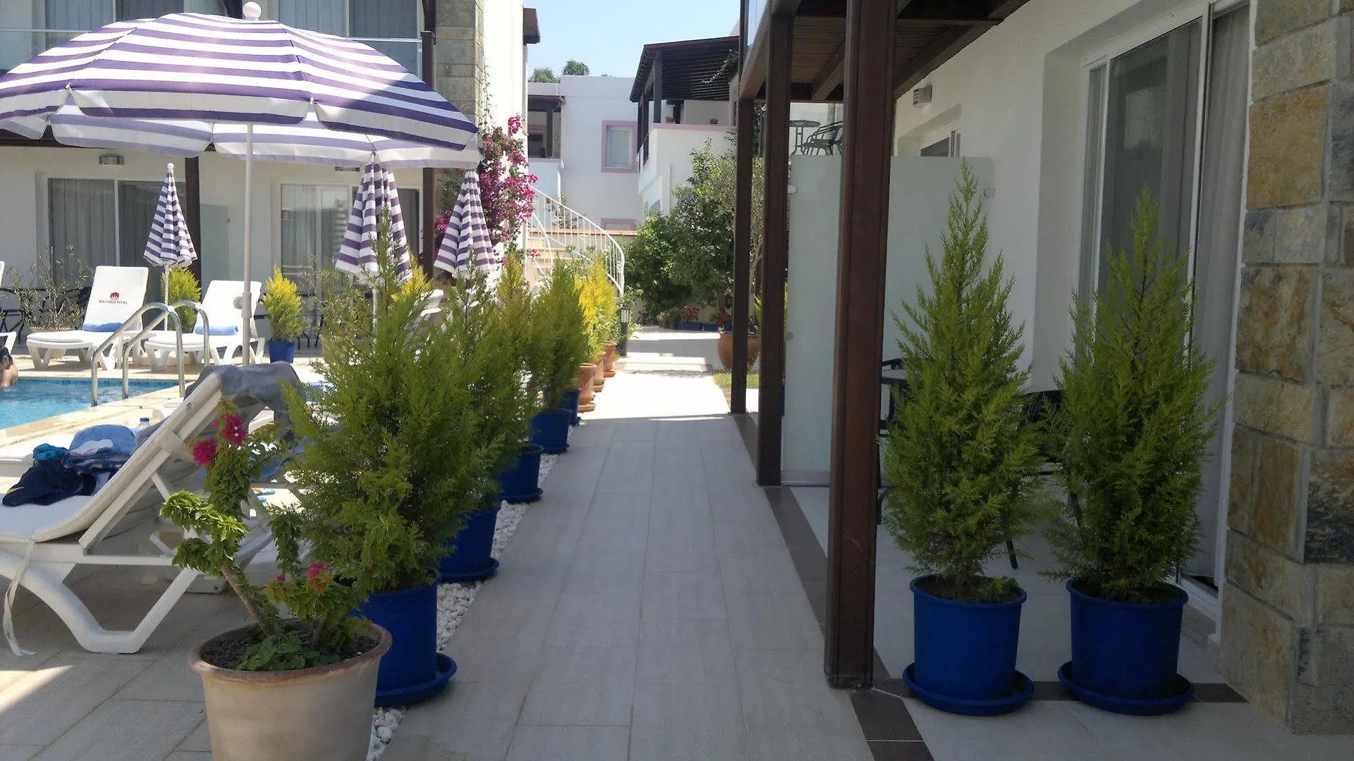 Cotton Boutique Hotel 바이즈